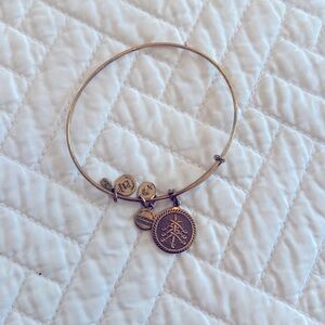 Alex and Ani 7 swords bracelet